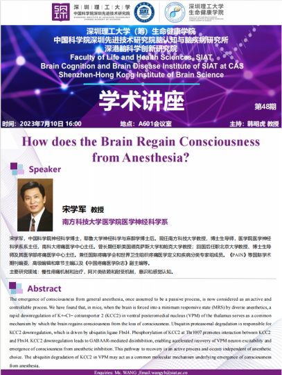 How does the Brain Regain Consciousness from Anesthesia?